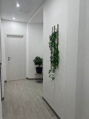 Residence Morena Róma Kültér fotó